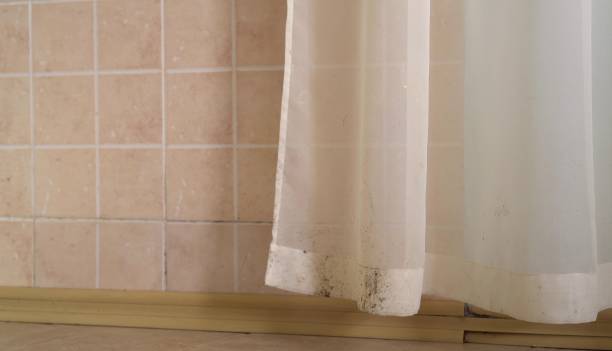 Best Mold Removal for HVAC Installations  in Inverness Highlands North, FL