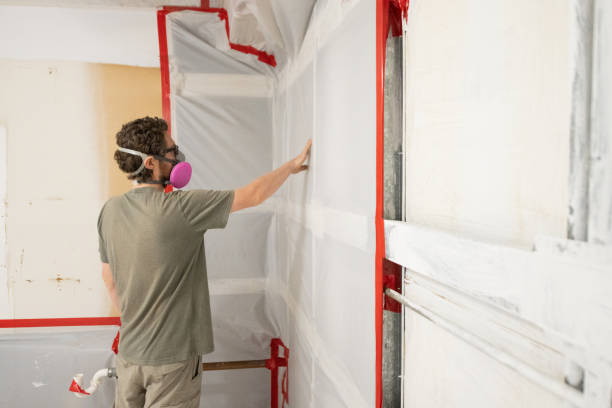 Best Mold Documentation for Insurance Claims  in Inverness Highlands North, FL