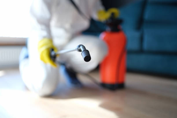 Best Forensic Mold Investigation  in Inverness Highlands North, FL